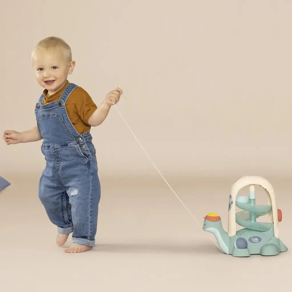 imagen de Little Smoby: Tortuga tirada de bolas para bebés - Simba Toys 3