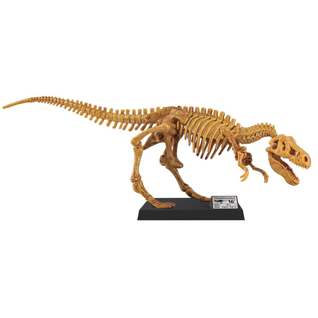 imagen de Luna: Kit de arqueología de T-Rex gigante 40cm 2