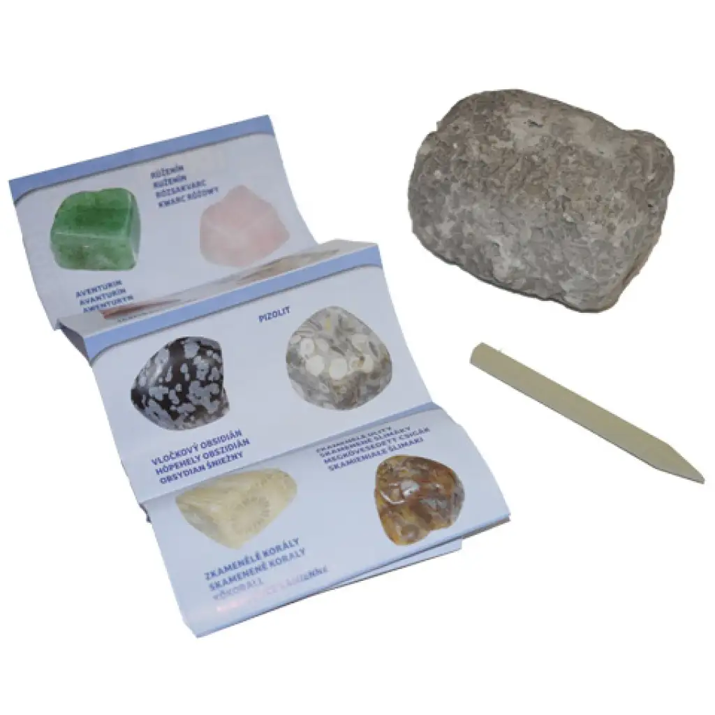 imagen de Minerales y fósiles sorpresa roca 1