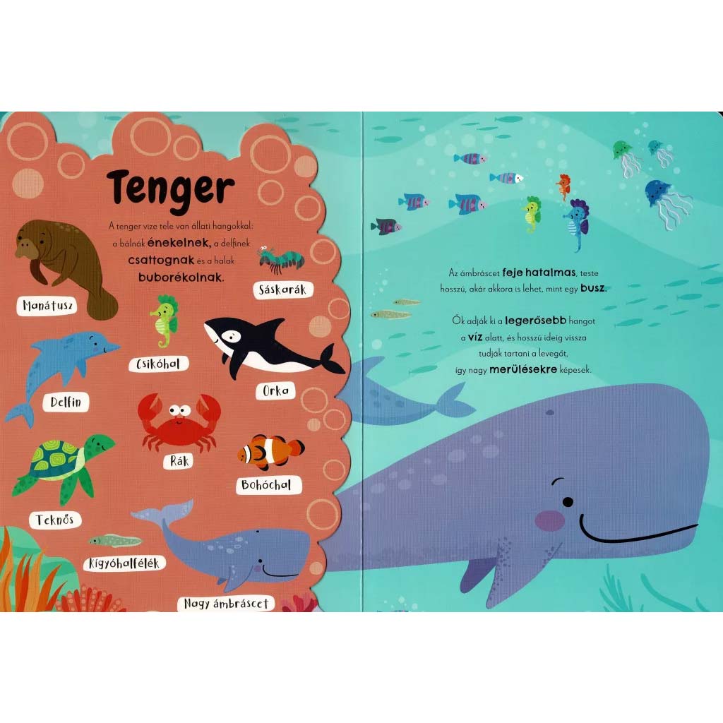 imagen de Mis primeros sonidos de animales - libro interactivo de sonido en inglés-húngaro 2