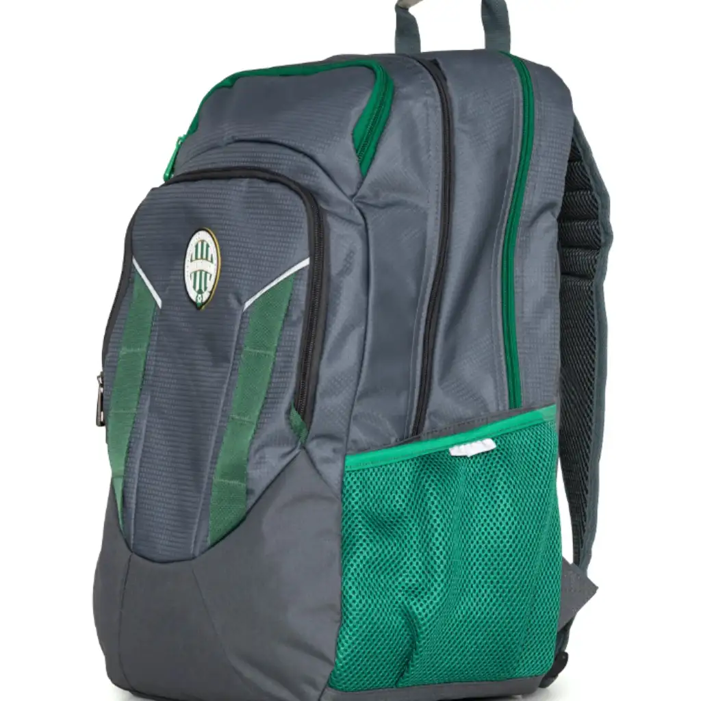 imagen de Mochila escolar grande gris con escudo de Fradi 3