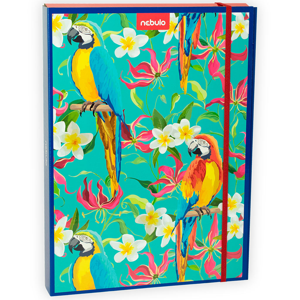 imagen de Nebulo: Caja de cuadernos en tamaño A/4 con diseño de loro 1