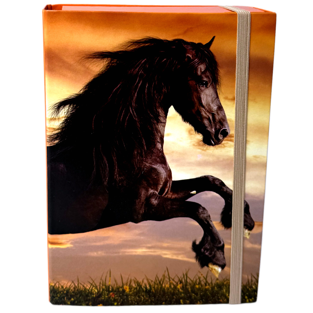 imagen de Nebulo: Caja de cuadernos en tamaño A/5 con diseño de caballo negro 1