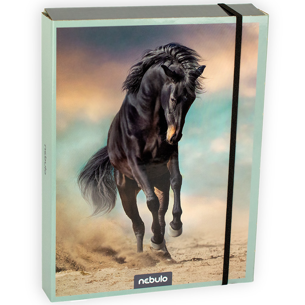 imagen de Nebulo: Caja de cuadernos en tamaño A/5 con diseño de caballos 1