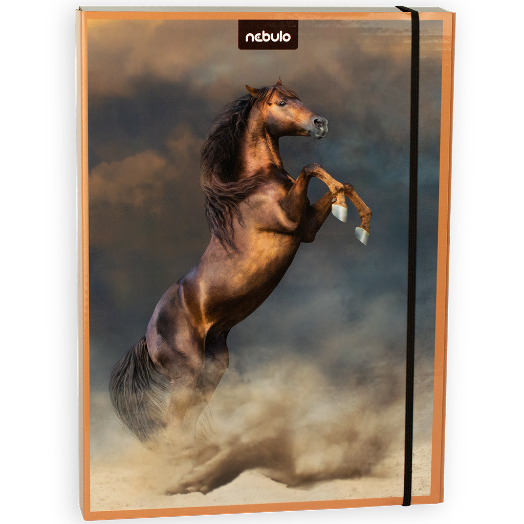 imagen de Nebulo: Caja de cuadernos tamaño A/4 con diseño de caballos 1