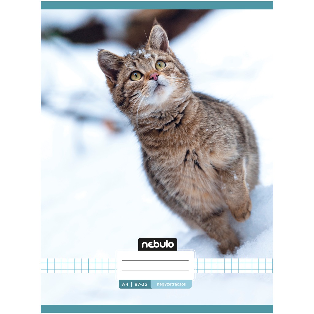 imagen de Nebulo: Cuaderno A4 en línea con gato 81-32 1