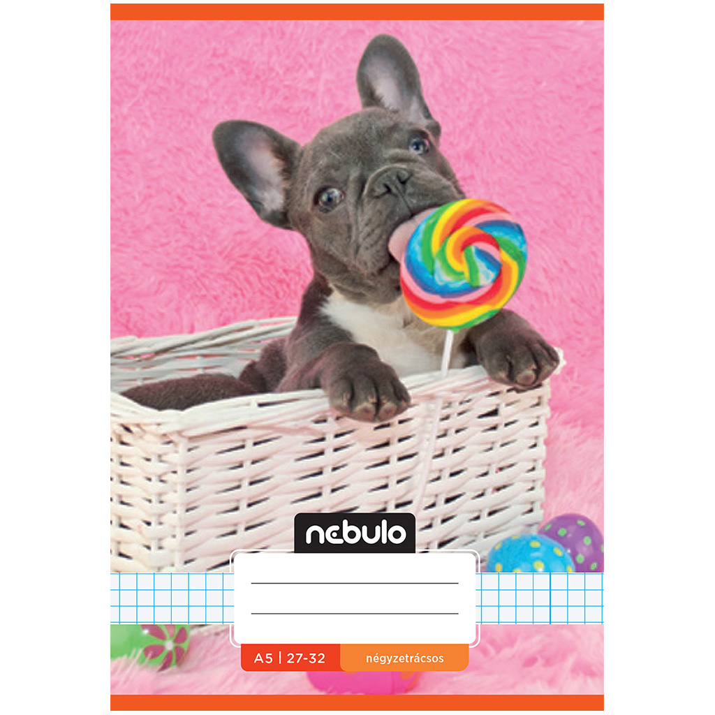 imagen de Nebulo: Cuaderno de cuadros con diseño de bulldog francés 27-32 A/5 1