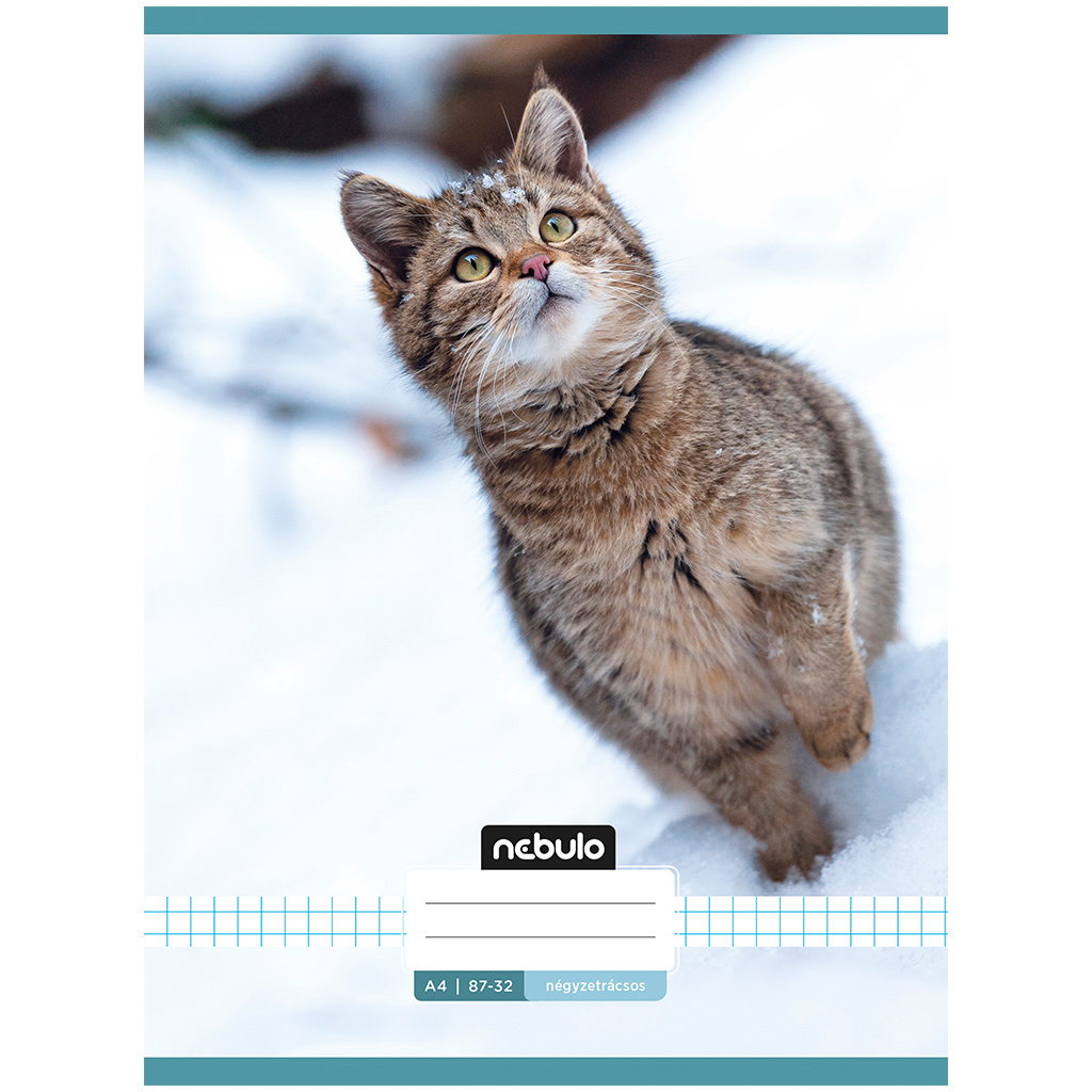 imagen de Nebulo: Cuaderno de cuadros con estampado de gato 87-32 A/4 1