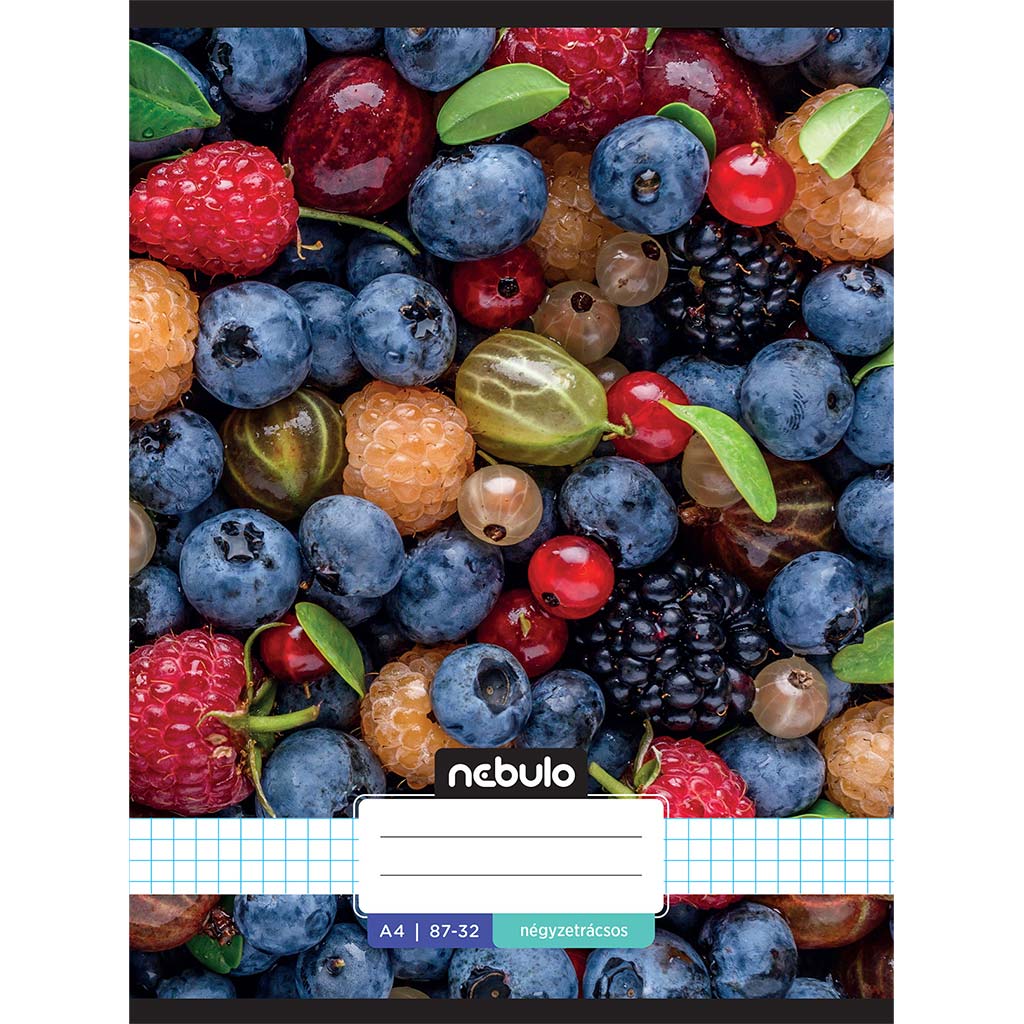 imagen de Nebulo: Cuaderno de frutas con cuadros cosidos 87-32 A/4 1
