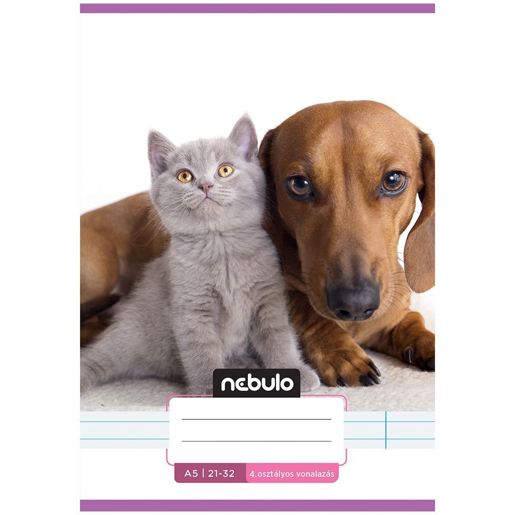 imagen de Nebulo: Cuaderno de líneas con patrón de perro salchicha de 4º grado y gato gris 21-32 A/5 1