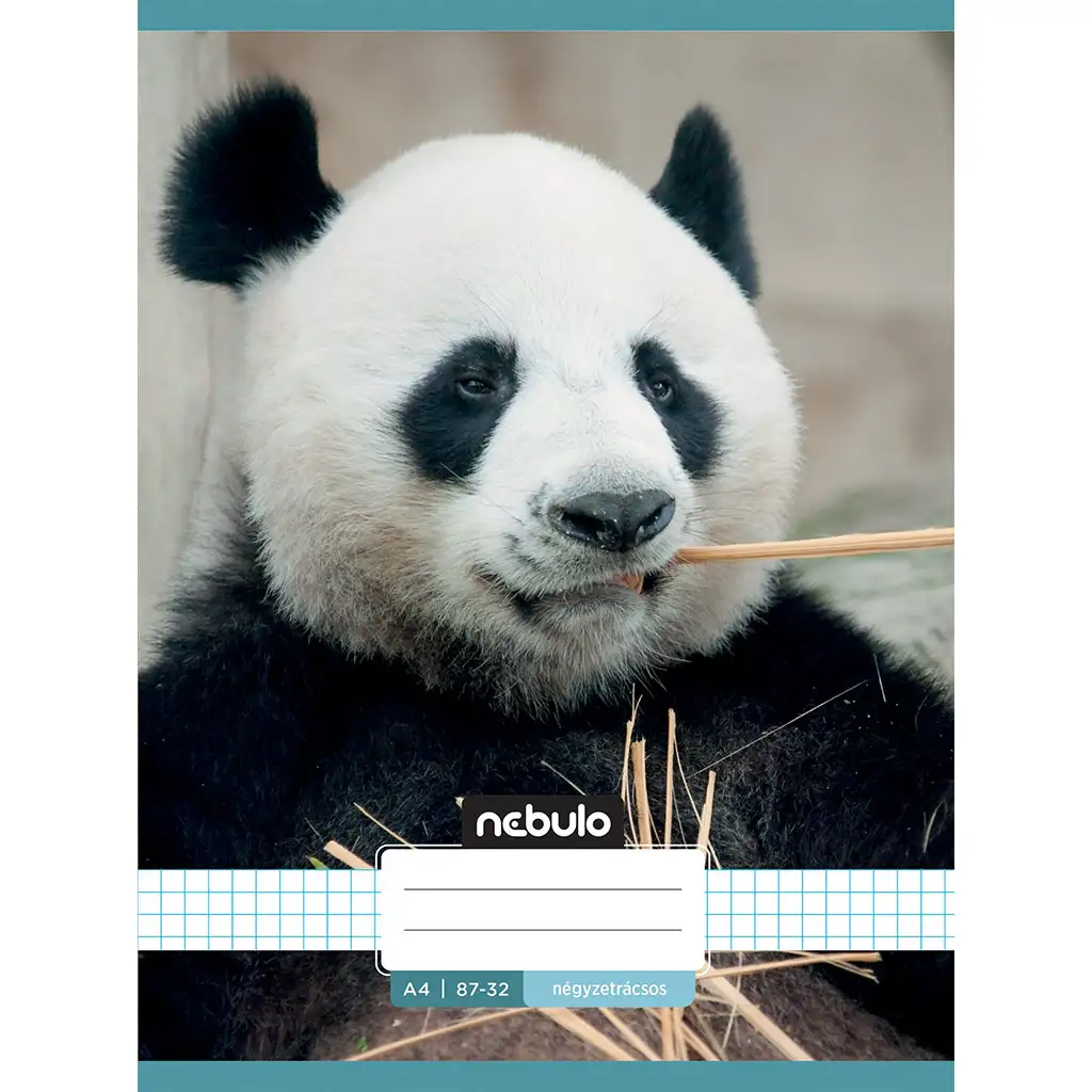 imagen de Nebulo: Cuaderno de panda a cuadros 87-32 A/4 1