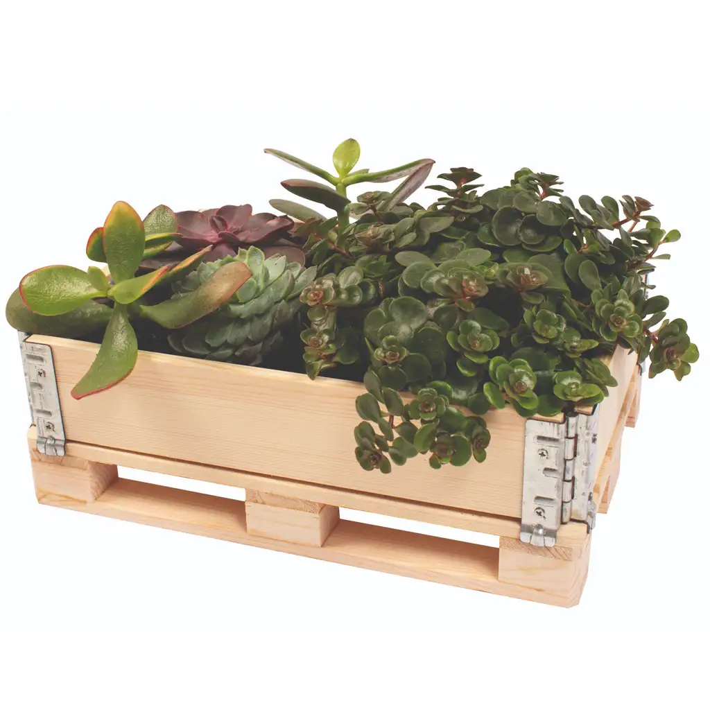 imagen de PlayBox: Caja de palets de madera 18x28x8,65cm 3