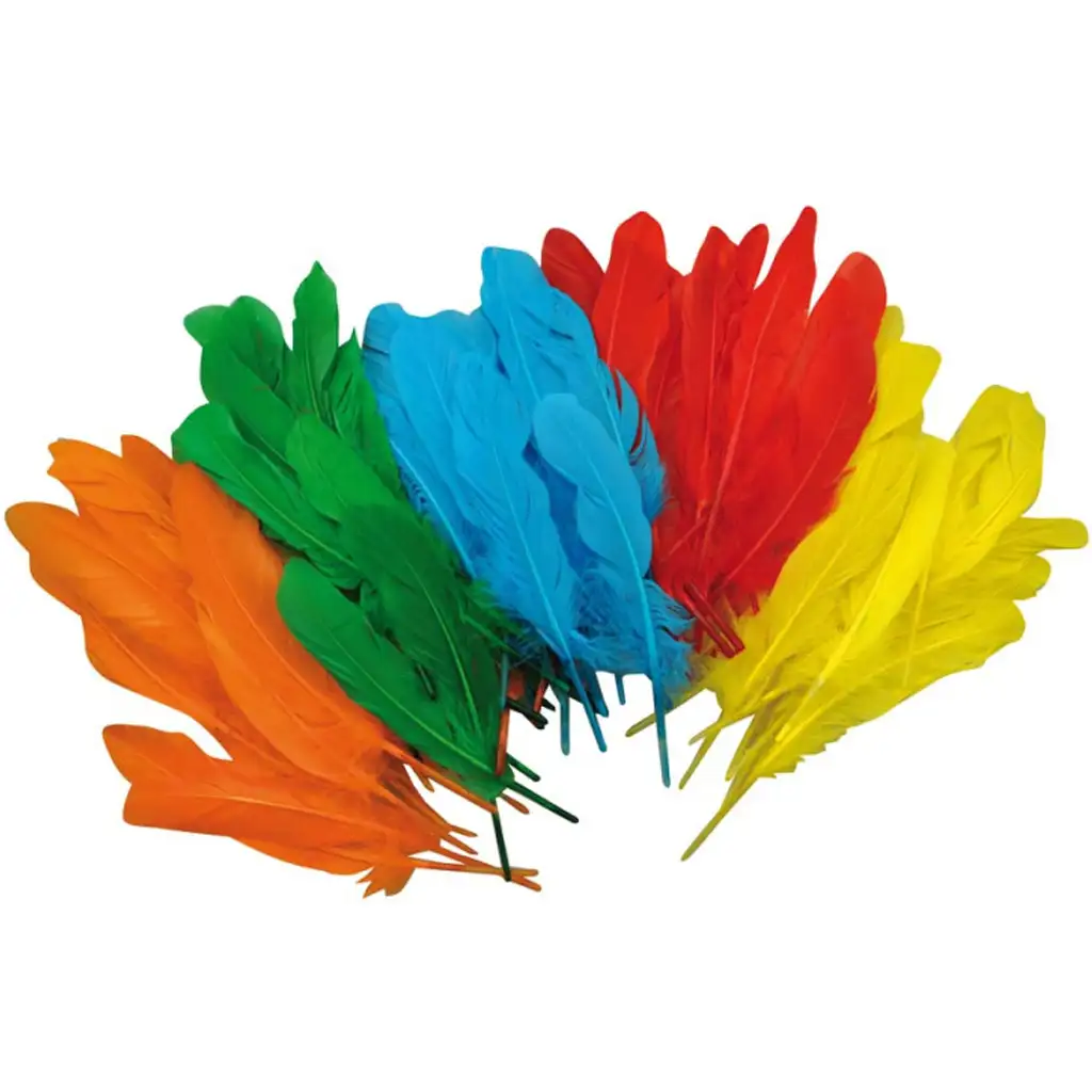 imagen de PlayBox: Plumas de pavo de colores para decoración 120ud 1