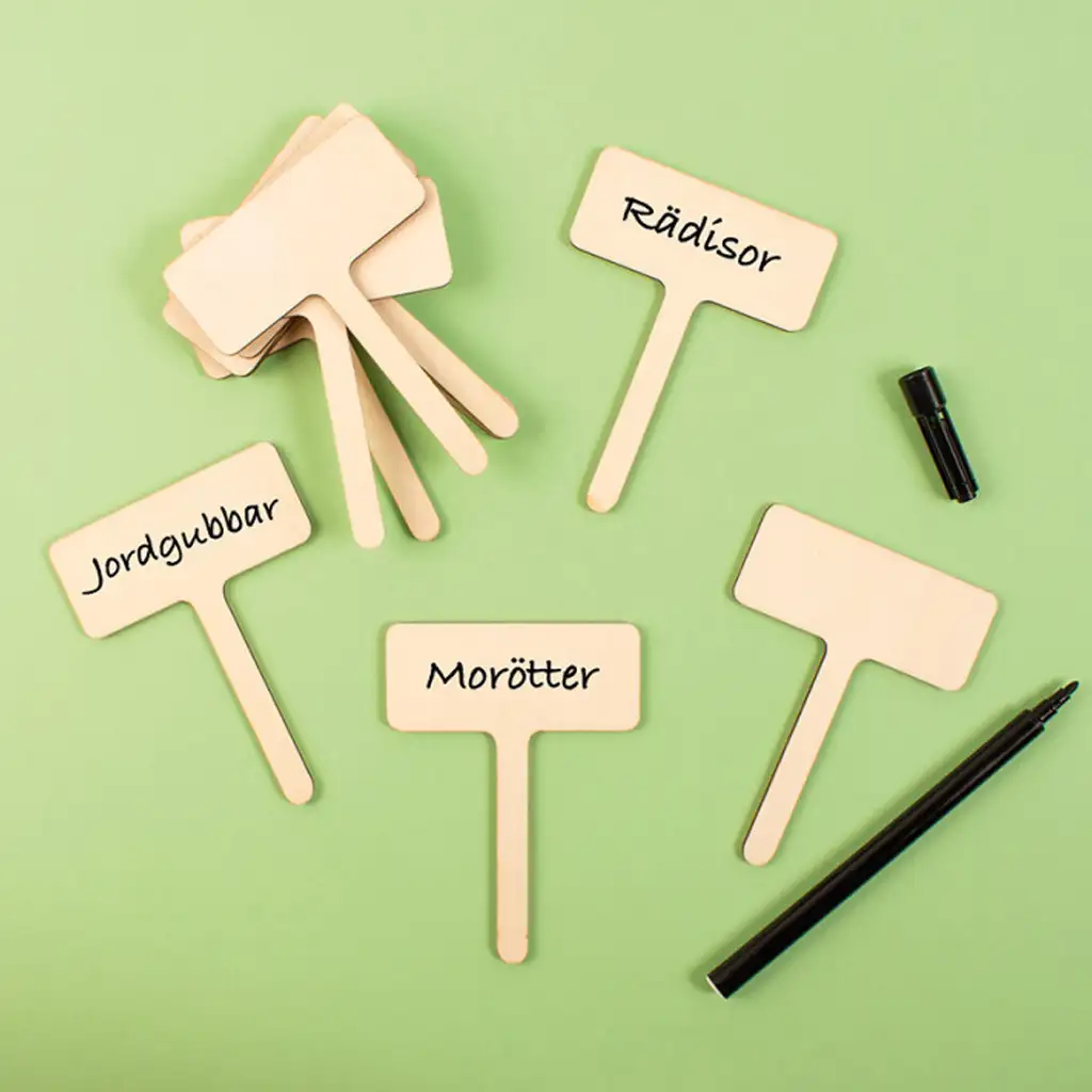 imagen de PlayBox: Set de 10 tablillas de madera para plantar 2