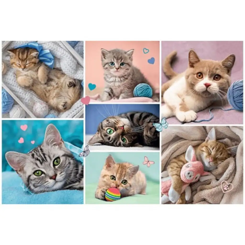 imagen de Puzzle de 100 piezas de gatos - Trefl 2