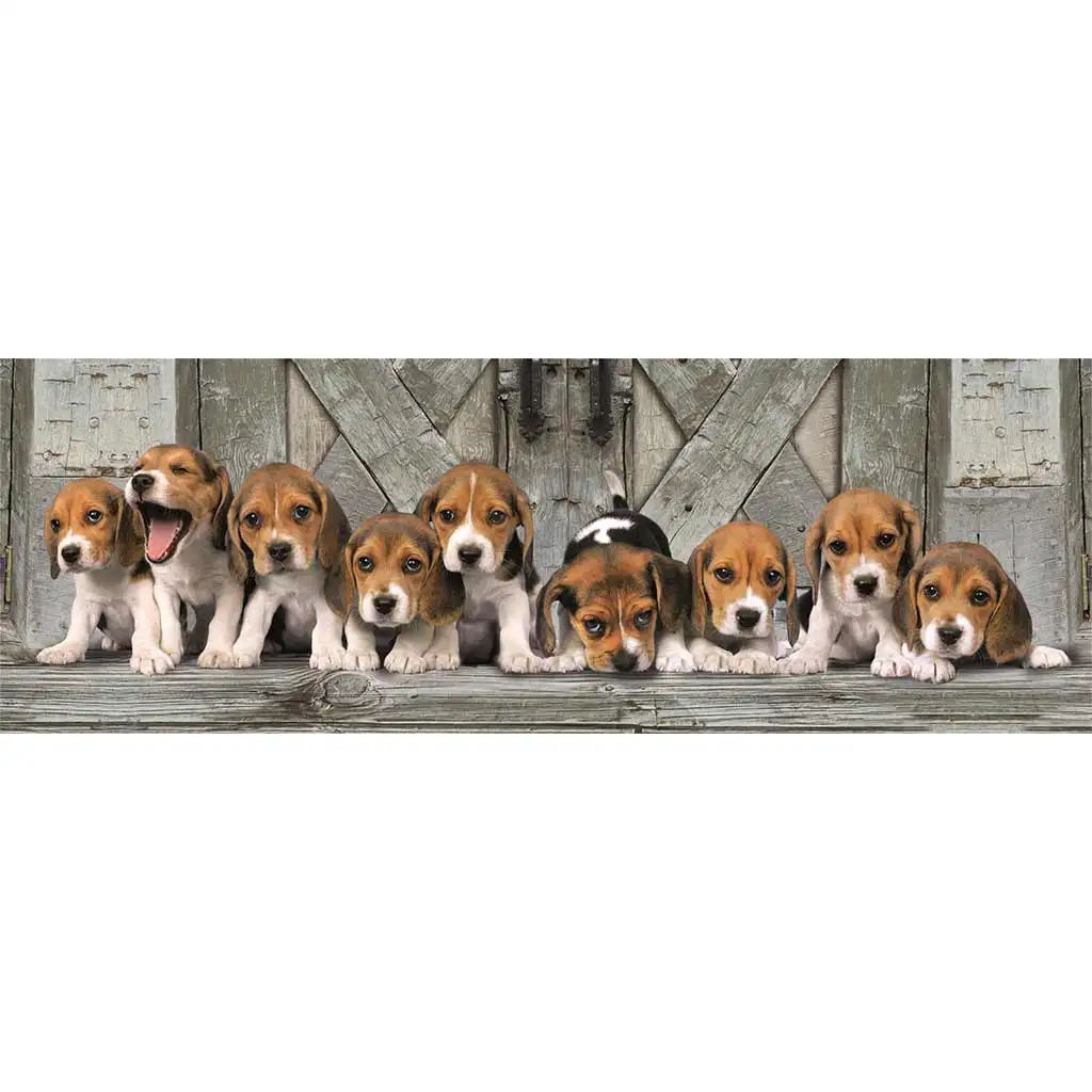 imagen de Puzzles panorámicos de cachorros Beagle de 1000 piezas 98x33cm - Clementoni 2