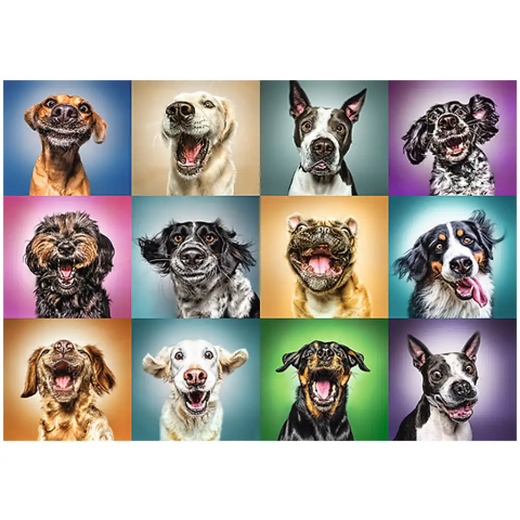 imagen de Rompecabezas de 1000 piezas de retratos de perros divertidos - Trefl 2