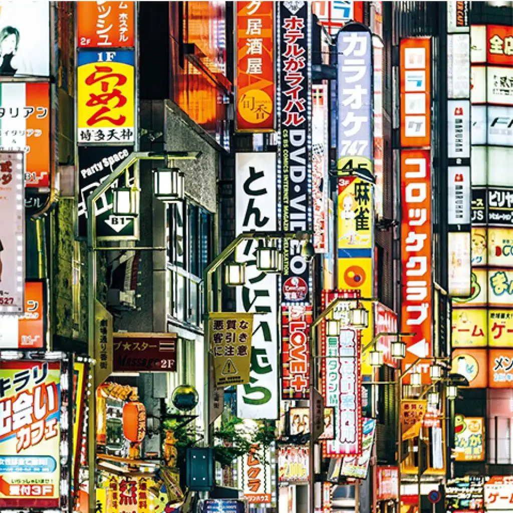 imagen de Rompecabezas de 250 piezas con marco de luces de Tokio - Clementoni 2