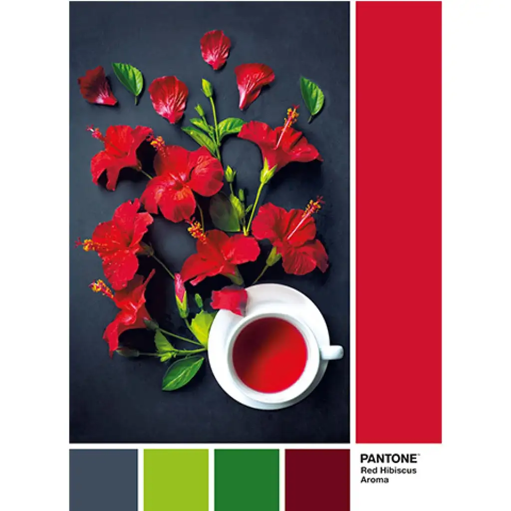 imagen de Rompecabezas de té Hibisco Pantone 1000 piezas - Clementoni 2