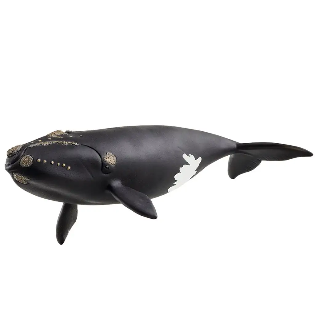 imagen de Schleich: Figura de ballena del Atlántico Norte (14878) 1
