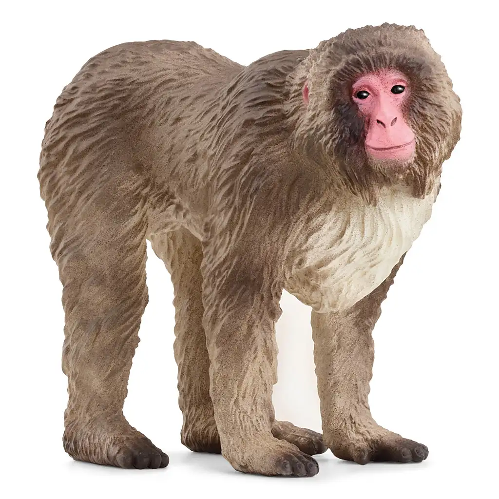 imagen de Schleich: Figura de macaco japonés (14871) 1