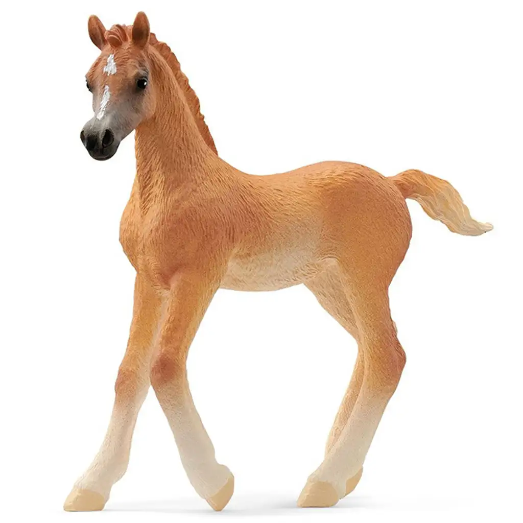imagen de Schleich: Figura de potro árabe (13984) 1