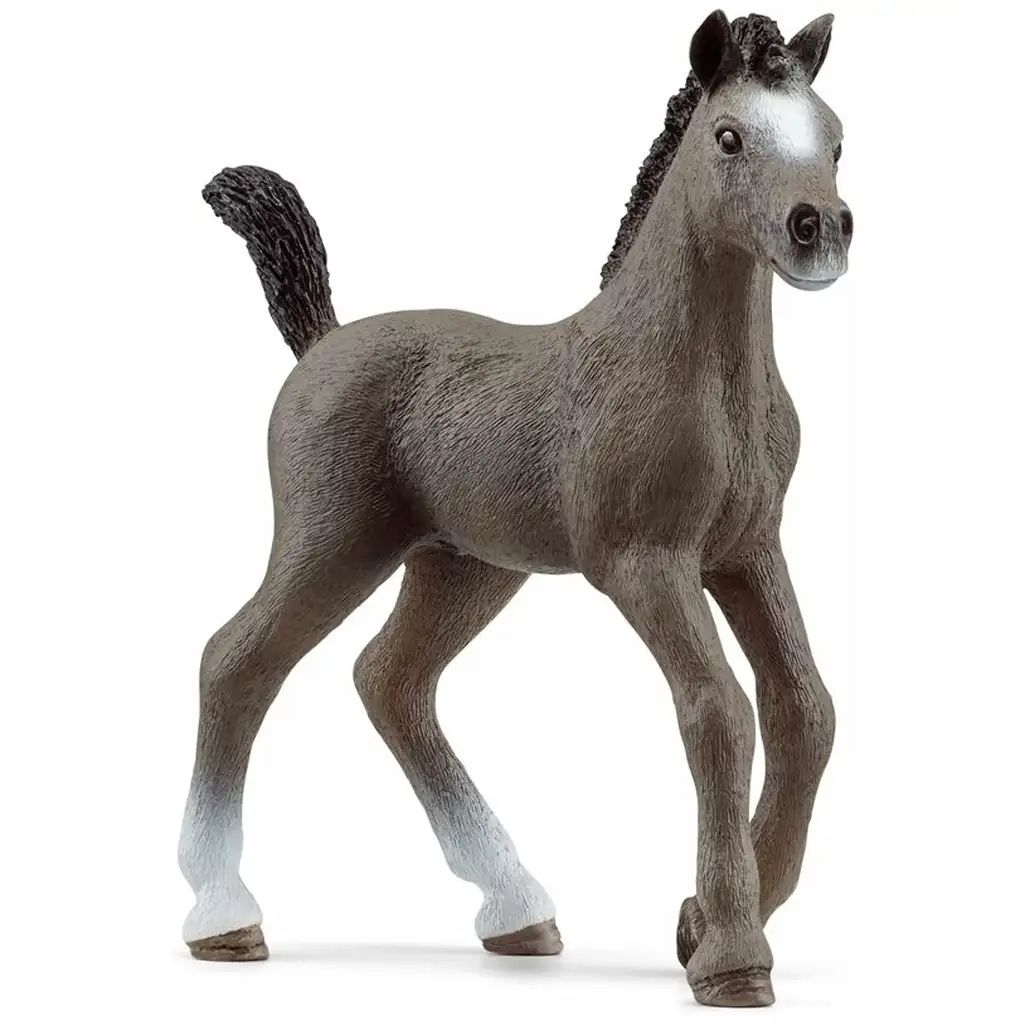 imagen de Schleich: Figura de potro Cheval de Selle (13957) 1
