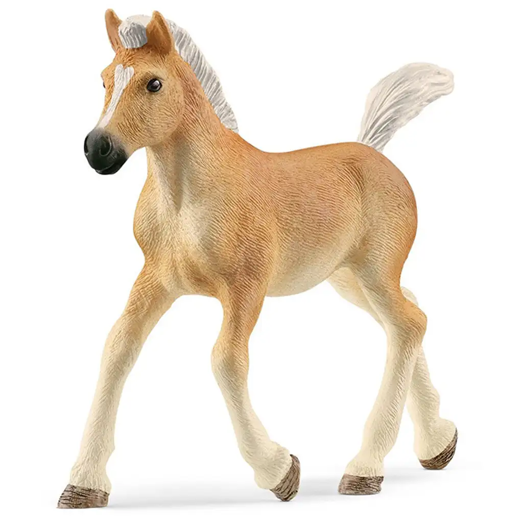 imagen de Schleich: Figura de potro Haflinger (13951) 1