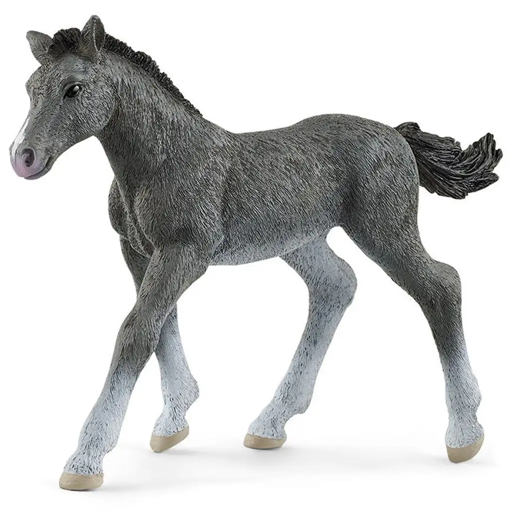 imagen de Schleich: Figura de potro Trakehner (13944) 1