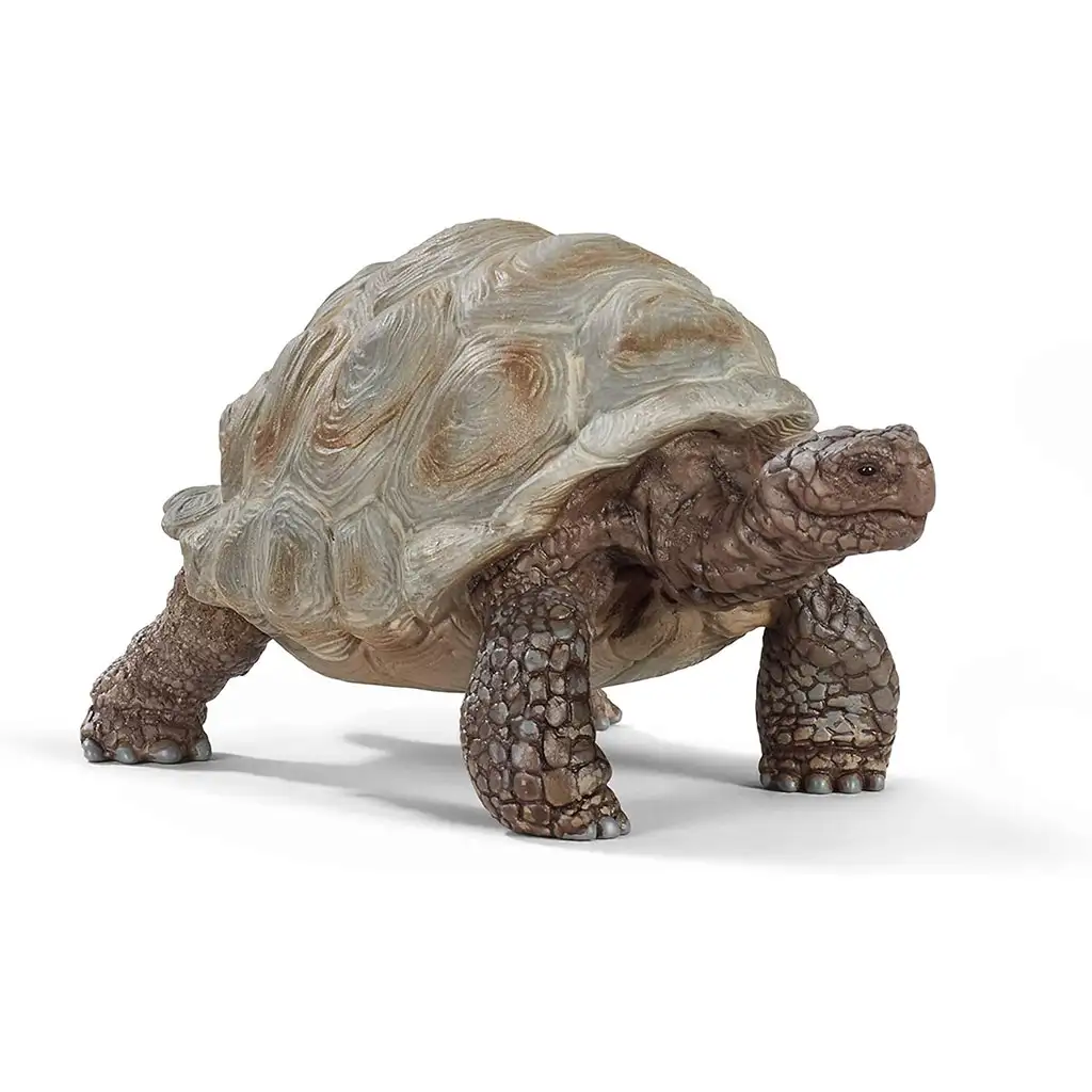 imagen de Schleich: Figura de tortuga gigante (14824) 1