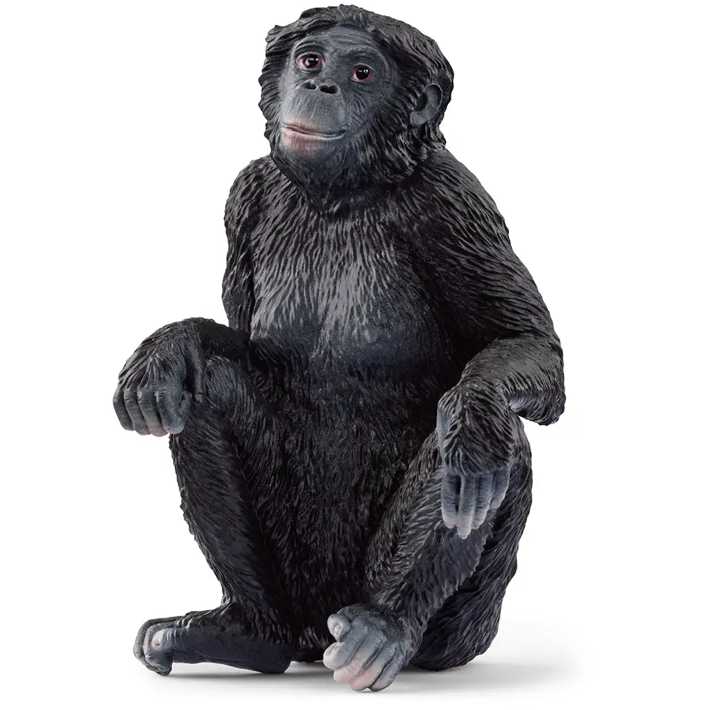 imagen de Schleich: Figura hembra bonobo (14875) 1
