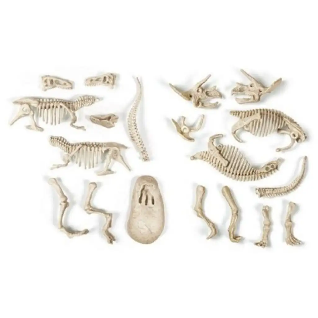 imagen de Science&Play: Archeofun T-rex y Triceratops iluminados set de arqueología - Clementoni 3
