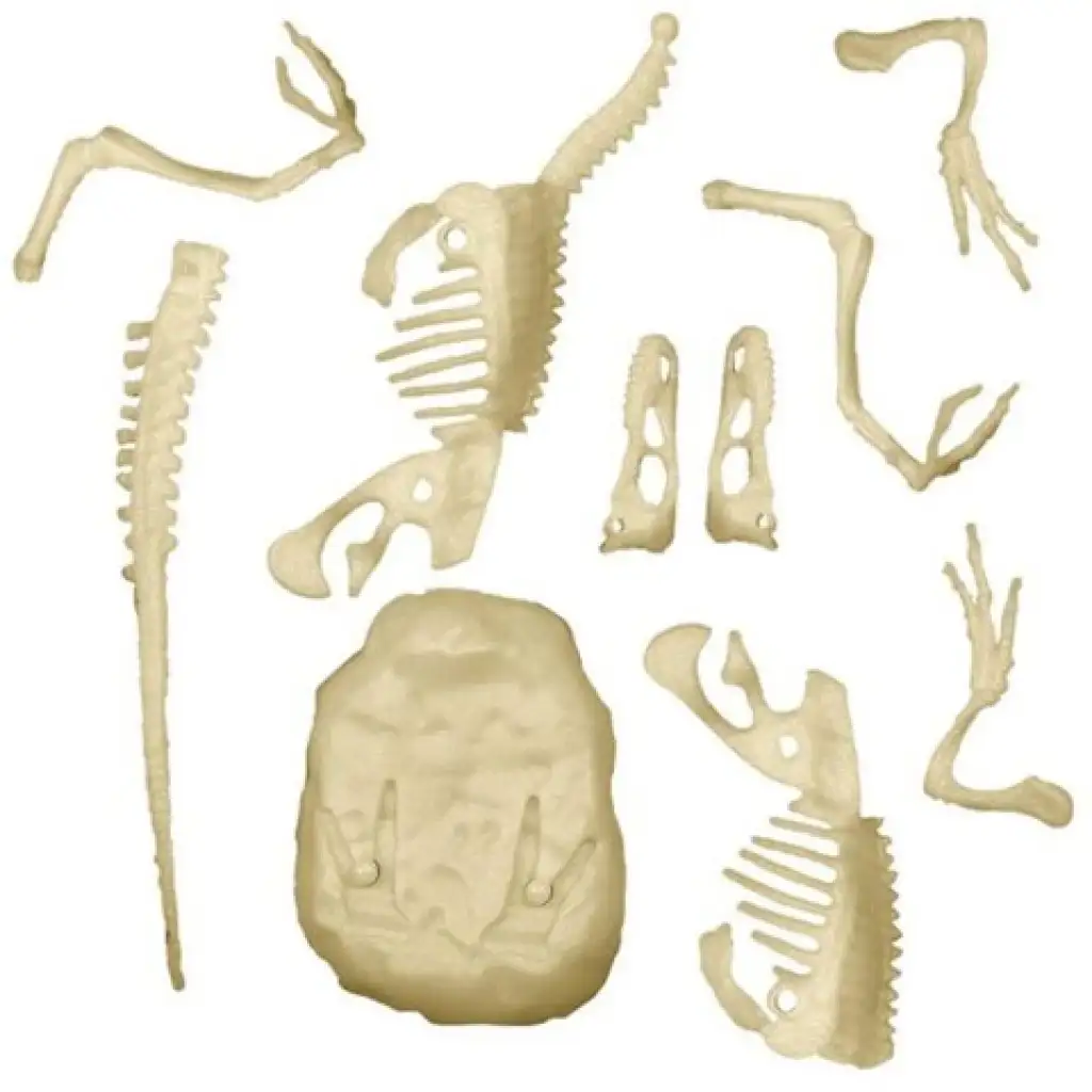 imagen de Science&Play: Archeofun Velociraptor iluminador set de arqueología - Clementoni 3
