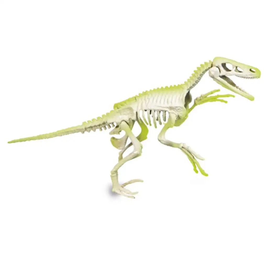 imagen de Science&Play: Archeofun Velociraptor iluminador set de arqueología - Clementoni 4