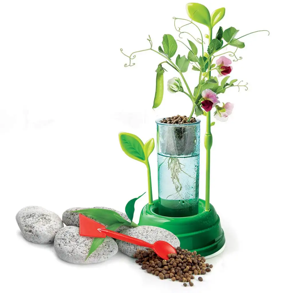 imagen de Science&Play: Laboratorio botánico hidropónico - Clementoni 2