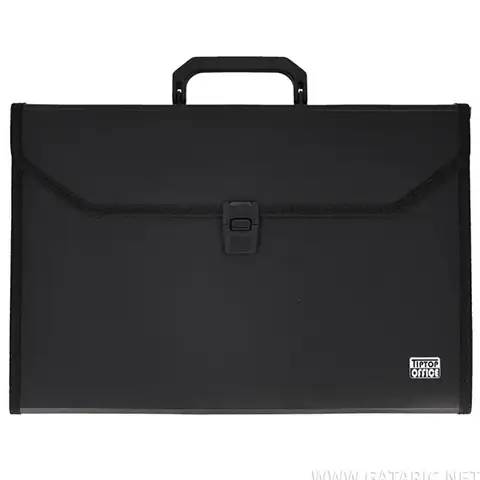 imagen de Spirit: Bolsa de archivo portátil con 12 compartimentos en tamaño A/4 color negro - TipTop Office 1