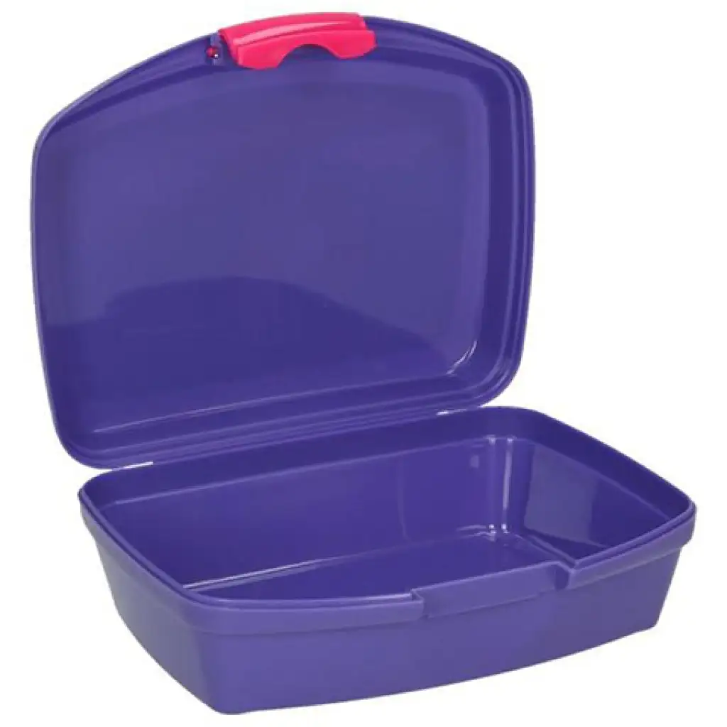 imagen de Spirit: Caja de almuerzo de unicornio 550ml 2