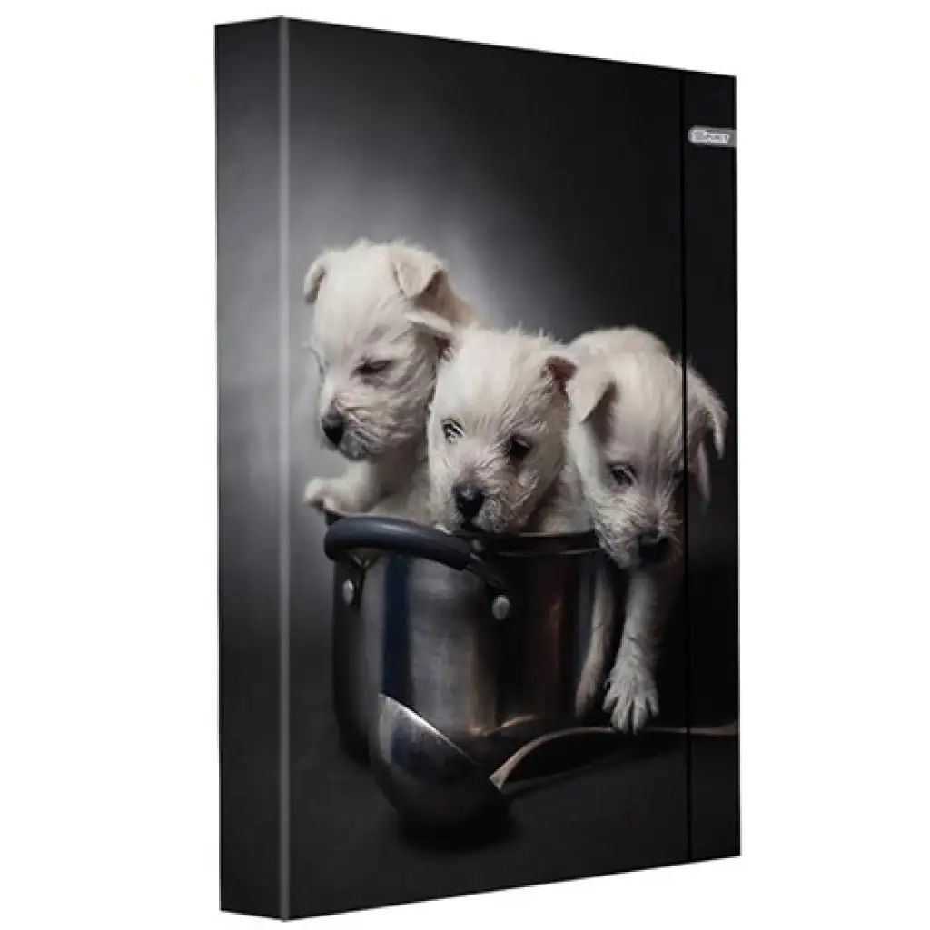 imagen de Spirit: Caja de cuadernos con perrito en tamaño A/4 con goma 1
