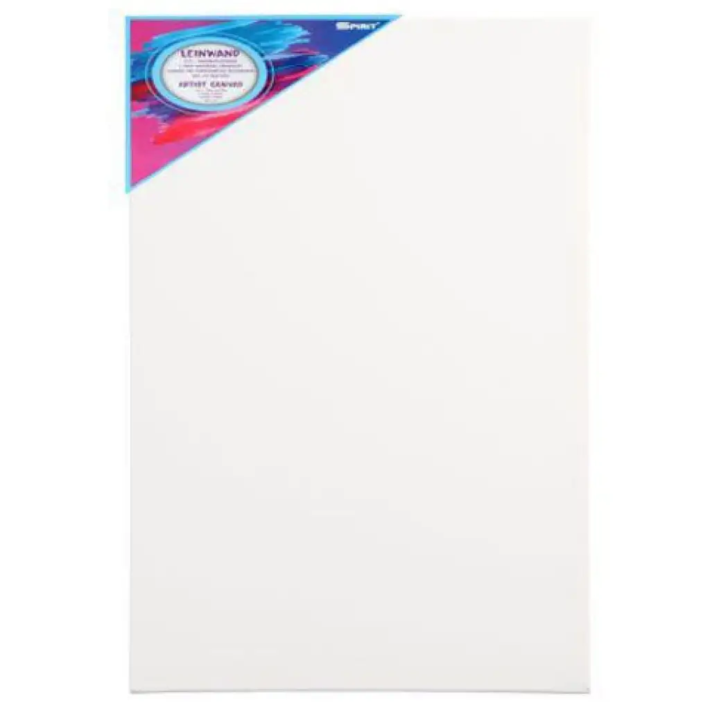 imagen de Spirit: Lienzo blanco estirado 30x70cm 1
