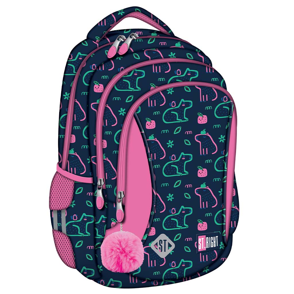 imagen de St.Right Mochila ergonómica Capybara, mochila BP26 39x27x17cm 1