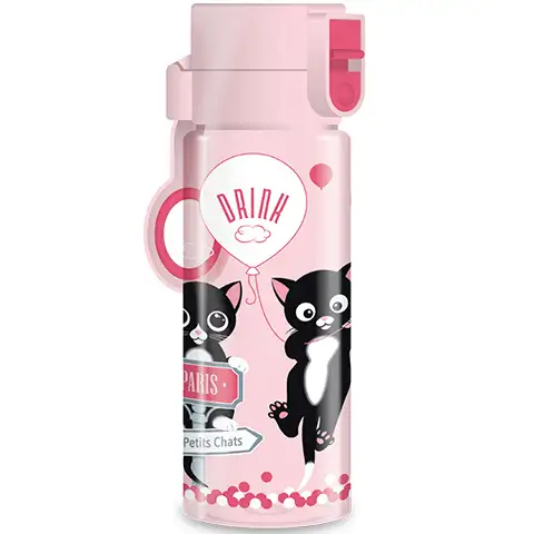 imagen de Think-Pink Botella rosa a prueba de derrames 475ml en París 1
