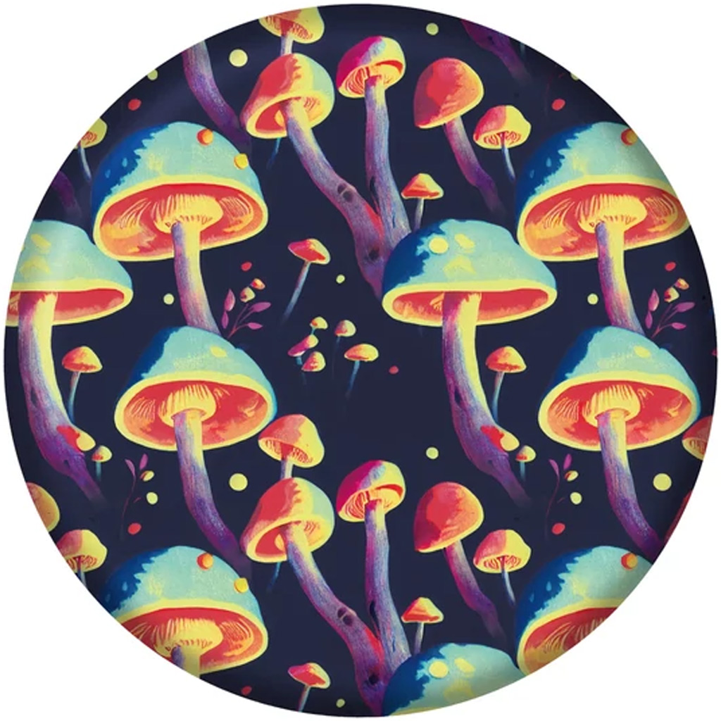 imagen de Waboba: Wingman frisbee de silicona en varias versiones 4