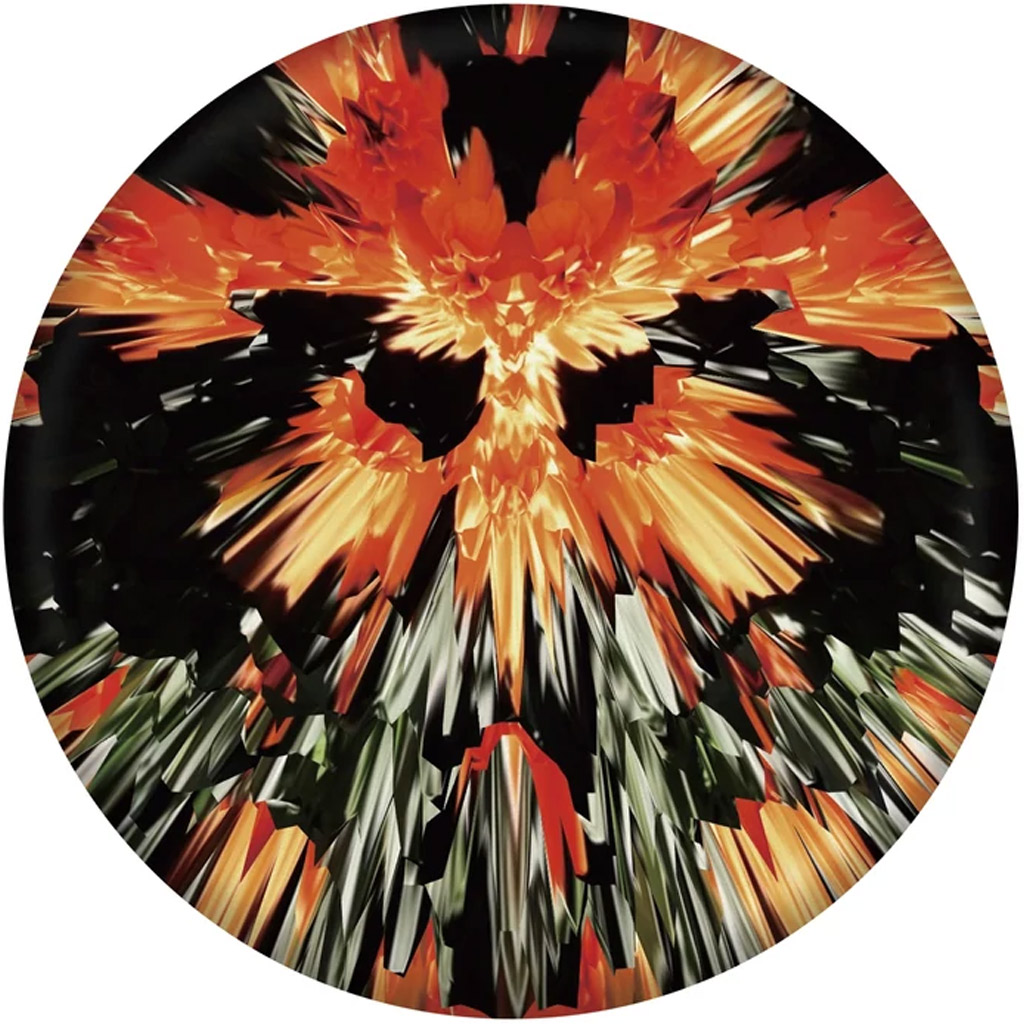 imagen de Waboba: Wingman Pro frisbee de silicona en varias versiones 2