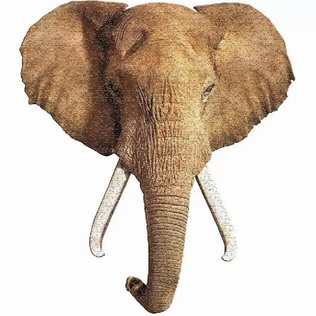 imagen de WOW rompecabezas de elefante gigante 700 piezas 2