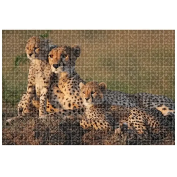imagen de Animal Planet: Familia de guepardos puzzle de 1000 piezas 2