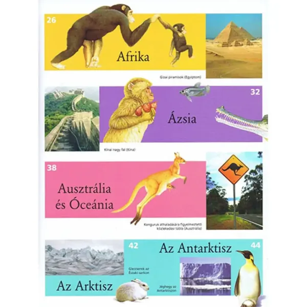 imagen de Atlas ilustrado para niños - Animales del mundo libro de divulgación 3