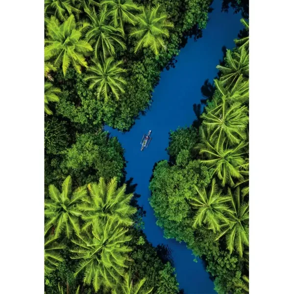 imagen de Aventura tropical 500 piezas HQC puzzle compacto - Clementoni 2
