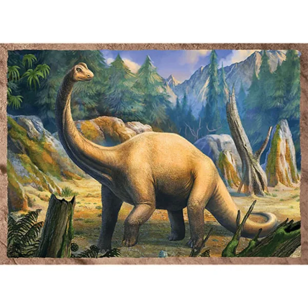 imagen de Interesantes dinosaurios 4 en 1 puzzle - Trefl 4