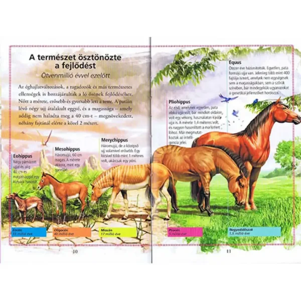 imagen de ¡Lee con nosotros! (3) - La historia de los caballos libro infantil 3