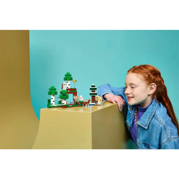 imagen de LEGO® Minecraft: Las aventuras de la primera noche (21593) 14